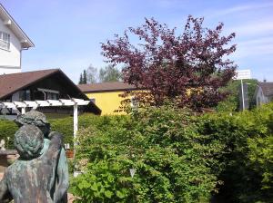 Zahrada ubytování Arthotel Ana Panorama