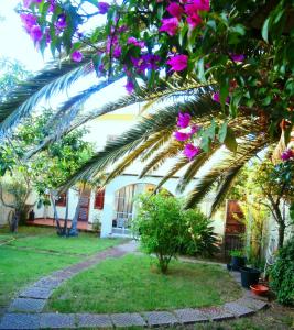 a palm tree in front of a house with purple flowers at West Coast in Càbras