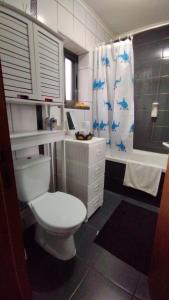Faja GrandeにあるCantinho da Fajãのバスルーム(トイレ、シャワーカーテン付)