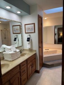 uma casa de banho com um lavatório, uma banheira e um espelho. em Sunblest Suites - A Pet Friendly Home em Fishers
