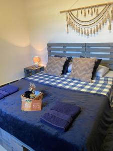 um quarto com uma cama grande com lençóis e almofadas azuis em Downtown Room em Assunção