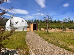 Zahrada ubytování Glamping Dome - Rosé