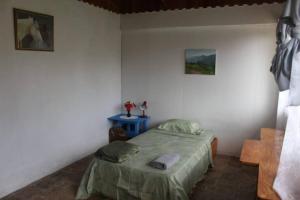 a bedroom with a bed and a blue table at Casa Luka in Turrialba