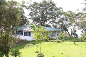 a white house on a hill with trees at Casa Luka in Turrialba