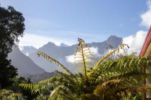 a plant with a view of mountains in the background at Ropatinis Bed & Breakfast in Fox Glacier