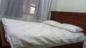 ein Bett mit zwei Kissen und einem Fenster in der Unterkunft St. Patrick’s Forest House in Entebbe