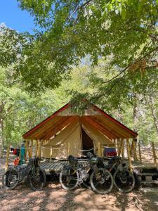 馬拉卡維尤的住宿－Casa del Árbol - Glamping，停在帐篷前的一群自行车