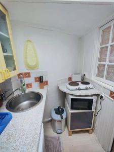 a small kitchen with a sink and a microwave at appartement parc des expositions/tour eiffel in Paris