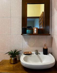 La salle de bains est pourvue d'un lavabo, d'un miroir et d'une plante en pot. dans l'établissement Casa Guiba 1 puerto escondido, à Puerto Escondido