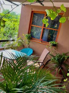 a house with a window with plants in it at Casa Guiba 1 puerto escondido in Puerto Escondido