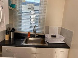 a kitchen counter with a sink and a window at Classic King Suite Apartment in Schenectady
