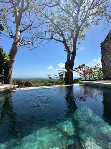 una piscina de agua con árboles en el fondo en Divinity Villas - Uluwatu, Bali, en Uluwatu