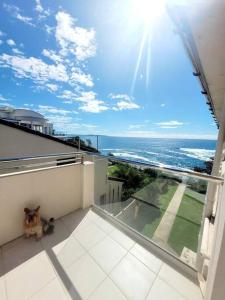 a cat sitting on a balcony looking at the ocean at Sunny Apt on The Esplanade - Aircon in Cronulla