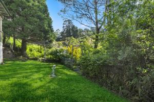 a yard with a fire hydrant in the grass at Freelander Retreat in Katoomba