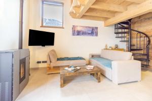 ein Wohnzimmer mit einem Sofa und einem TV in der Unterkunft Chalet la Parrachée in Lanslebourg-Mont-Cenis