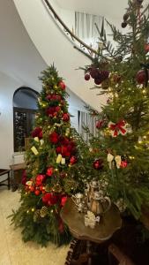 a group of christmas trees in a living room at Conacul Dima Predeal in Predeal