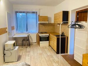 Kuchyň nebo kuchyňský kout v ubytování Apartmán v zahradě Malšovice
