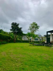 einen grünen Hof mit einem Haus und Bäumen in der Unterkunft 12_LUXURY VILLA COASTAR HỒ TRÀM RESORT ll Private pool ll large garden ll BBQ next to the HAMPTONS 300m - beautifull beach in Xuyên Mộc