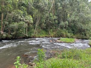 Landskap semula jadi dekat dengan lodge
