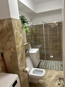a bathroom with a shower and a toilet and a sink at Alex Apartament Central in Bucharest