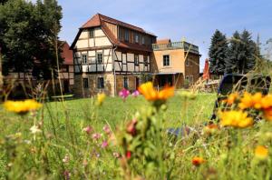 Κήπος έξω από το Ferienhaus Lindenhof Graupa