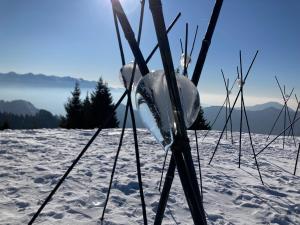 a pair of skis standing in the snow at Tulipa Natural Home in Mezzolago