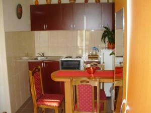 Kuchyň nebo kuchyňský kout v ubytování Guest House Dunavski Raj
