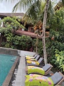 a row of chaise lounge chairs next to a swimming pool at Dewa Bungalows in Ubud