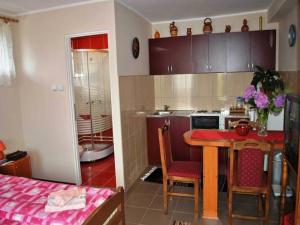 Kuchyň nebo kuchyňský kout v ubytování Guest House Dunavski Raj