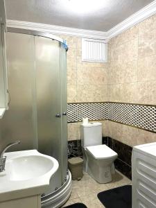 La salle de bains est pourvue d'une douche, de toilettes et d'un lavabo. dans l'établissement Квартира с кухней и балконом (№2), à Samanlı