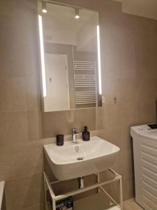 a bathroom with a white sink and a mirror at Elegant Urban Residence with parking spot in Nivy