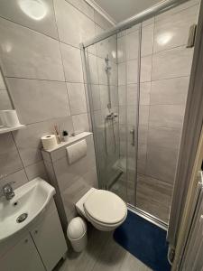 uma casa de banho com um chuveiro, um WC e um lavatório. em Studio apartman Stefi em Samobor