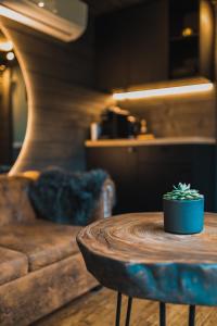 a cactus sitting on a wooden table in a living room at Reborn Cabins in Pabaži