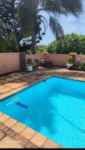 a dog is sitting next to a blue swimming pool at Aloe Self Catering in Port Shepstone