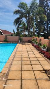 a pathway next to a swimming pool with palm trees at Aloe Self Catering in Port Shepstone