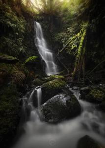 a waterfall in a forest with rocks and trees at The Source, Otways in Tanybryn