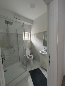 a bathroom with a shower and a toilet and a sink at Studio G&A Hunedoara Apartment in Hunedoara