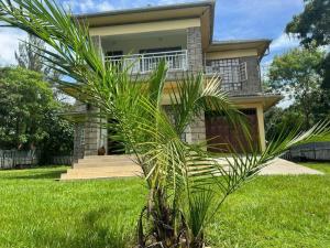 a palm tree in front of a house at Siswi (The Nest)- The place to be. in Bungoma