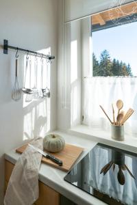eine Küche mit einer Arbeitsplatte und einem Fenster in der Unterkunft Appartements Lärchmoos in Ramsau am Dachstein