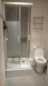 łazienka z prysznicem i toaletą w obiekcie A cosy private room in the heart of old Podgorze w Krakowie