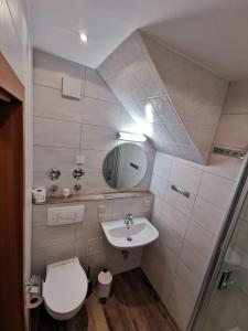 a bathroom with a sink and a toilet and a mirror at Schnorr-Villa in Schneeberg