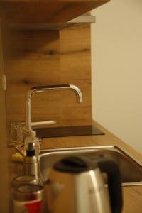 um lavatório de cozinha com uma torneira em cima em Illyrian studio apartment 2 em Tirana