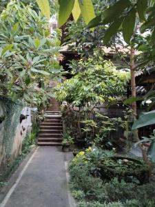 a path in a garden with trees and plants at Dewa Bungalows in Ubud