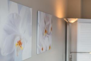 Fotografie z fotogalerie ubytování Fewo Atlantik App 10a v destinaci Wenningstedt