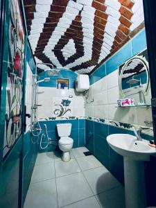 ein Bad mit einem WC und einem Waschbecken in der Unterkunft Fadlos Anay Nubian Guesthouse فضلوس أناي in Assuan