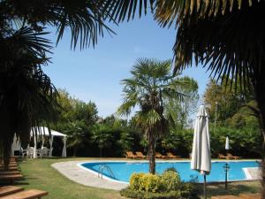 una piscina con sombrilla y palmera en Villa Pace Park Hotel Bolognese en Preganziol