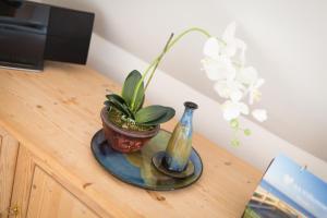 ヴェニングシュテットにあるSyltblume App 11の花瓶と植物を乗せたテーブル