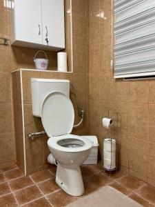 a bathroom with a white toilet in a room at Apartmani Porodica Karalić Vlašić in Vlasic