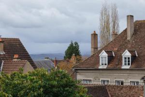 a group of roofs of houses with chimneys at Maison Lùisa - Refuge d'Exception au cœur d'Autun in Autun
