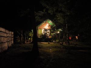 Zahrada ubytování Coconut Tree House
